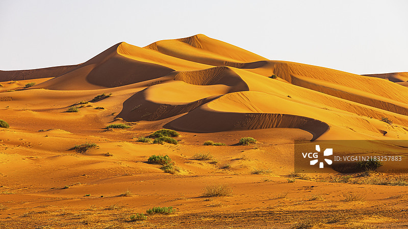 阿曼苏丹国，阿拉伯半岛，杜法尔省，鲁卜阿尔哈利沙漠中风雕刻的弯曲沙丘图片素材