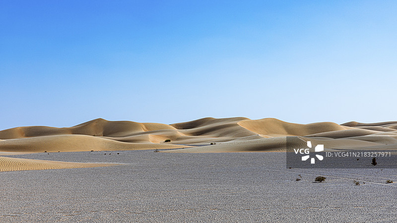 阿曼苏丹国，阿拉伯半岛，杜法尔省，鲁卜阿尔哈利沙漠中风雕刻的弯曲沙丘图片素材