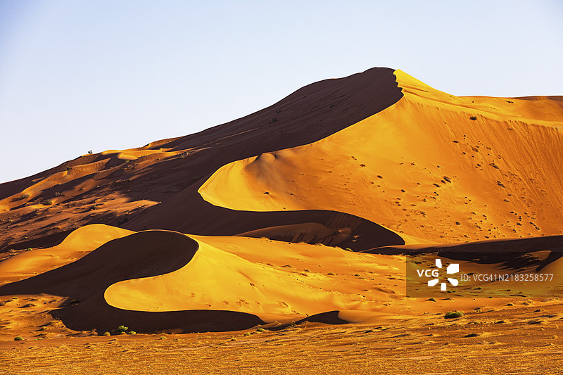 在阿曼苏丹国的阿拉伯半岛，杜法尔省的鲁卜哈利沙漠中，傍晚的光线下，风雕刻的弯曲沙丘。图片素材