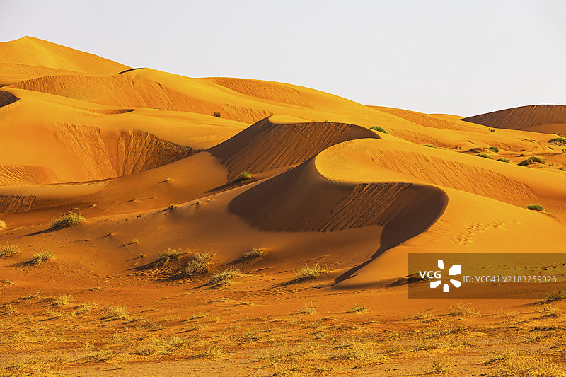 阿曼苏丹国，阿拉伯半岛，杜法尔省，鲁卜阿尔哈利沙漠中风雕刻的弯曲沙丘图片素材