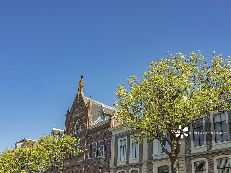 美丽的历史教堂，周围环绕着郁郁葱葱的绿树和邻近的房屋，映衬在明亮的蓝天之下，阿尔克马尔，荷兰图片素材