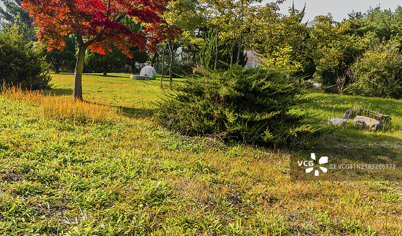 韩国公园内绿草坪上被树木环绕的巨大磨石图片素材