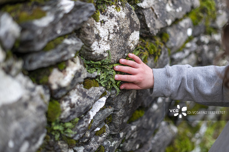 孩子发现自然图片素材