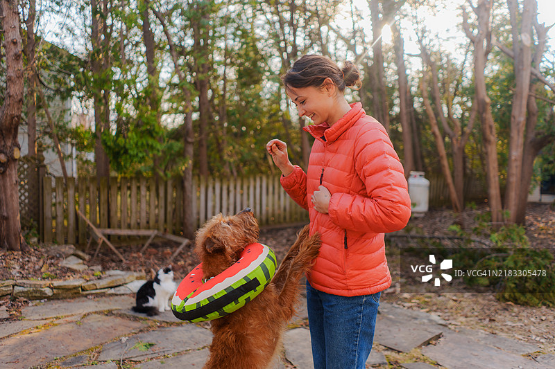 女人在后院训练狗狗图片素材