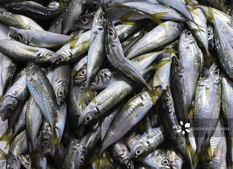 鱼市场出售的新鲜海鲜鱼图片素材