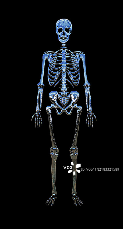 黑色背景上的人类骨骼，带有浮雕银色金属质感。图片素材