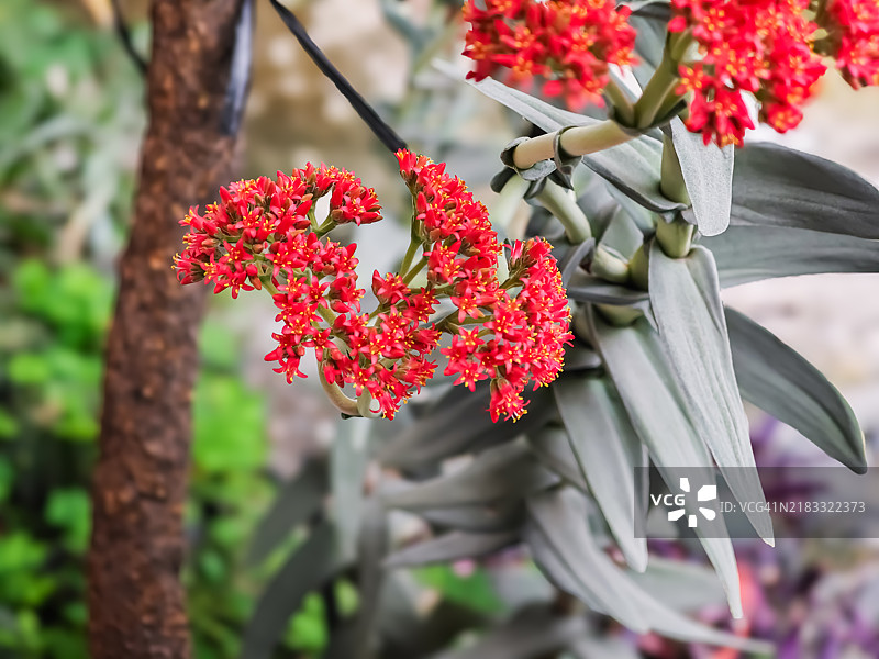让我们慷慨地忘记那些无法爱我们的人  巴勃罗·聂鲁达图片素材
