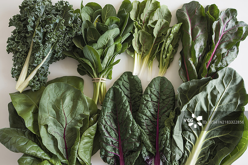各种绿色叶菜在白色背景上图片素材