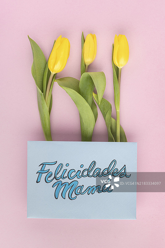 母亲节的美丽平铺构图2图片素材