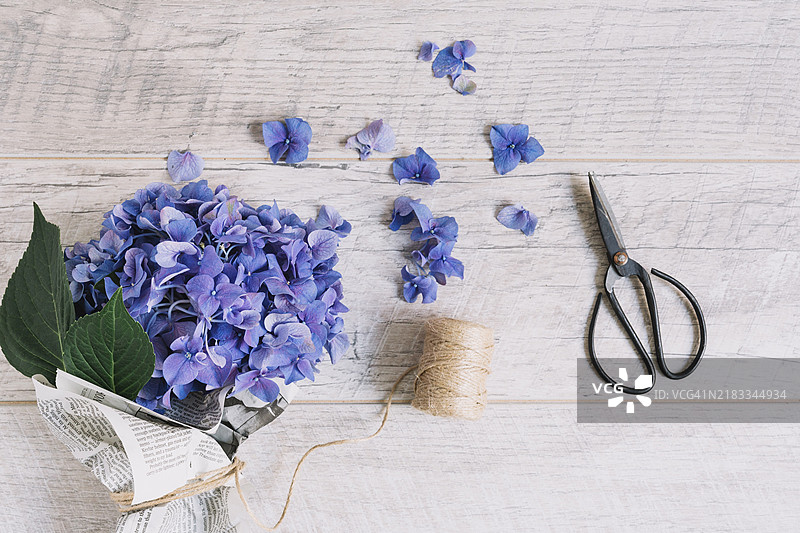 紫色绣球花花束用卷线器绑在木桌上图片素材