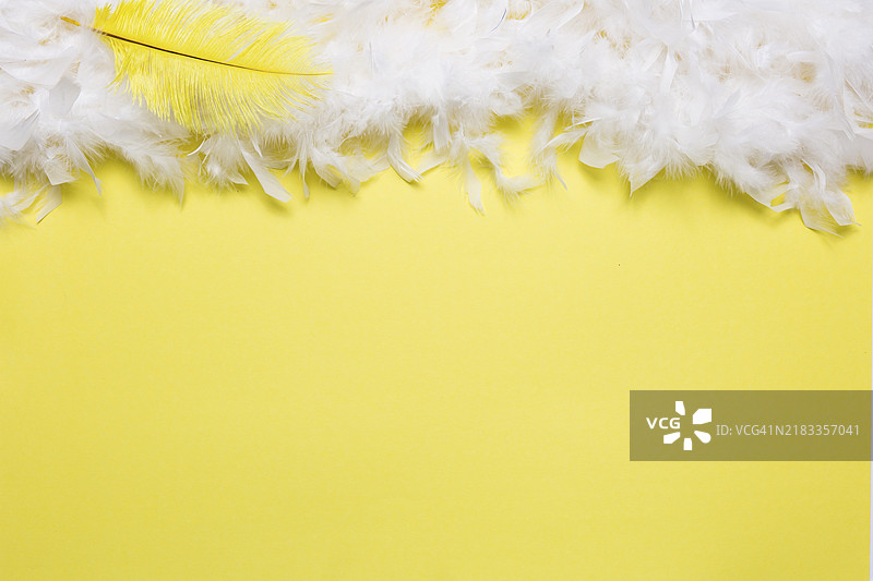 黄色的白色羽毛图片素材