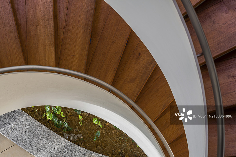 从上往下看木制螺旋楼梯，底层土壤中长着植物图片素材