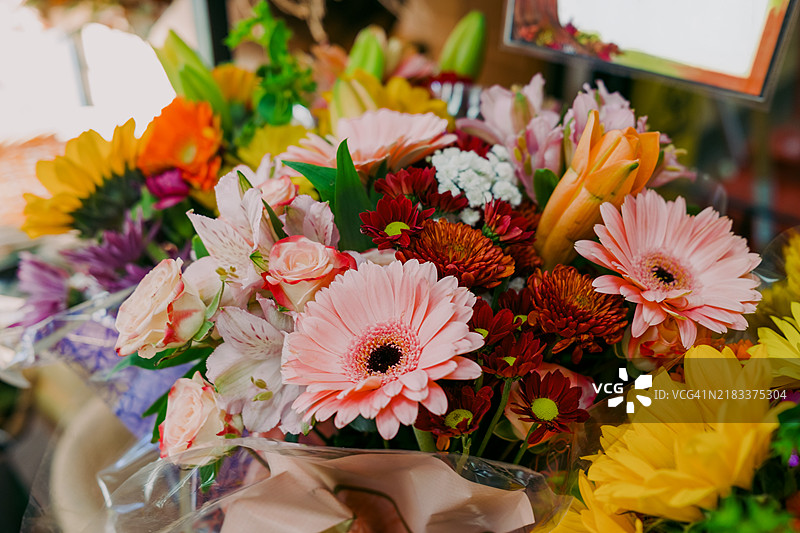 市场上出售的花卉图片素材