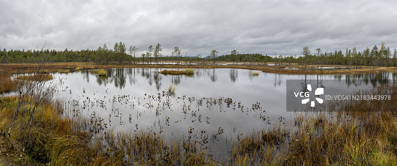 芬兰拉普兰的秋季湖泊和沼泽风景，欧洲图片素材