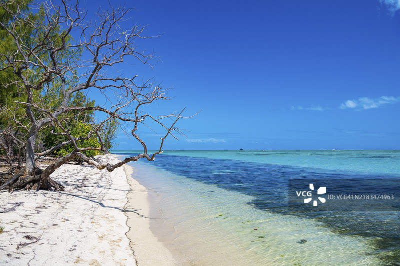 海滩，贝尼捷岛，勒莫尔布兰，西海岸，印度洋，岛屿，毛里求斯，非洲图片素材