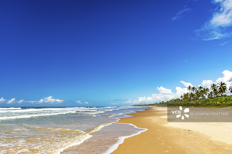 被椰子树环绕的荒 deserted beach in Serra Grande, 巴伊亚州南海岸，巴西，南美洲图片素材