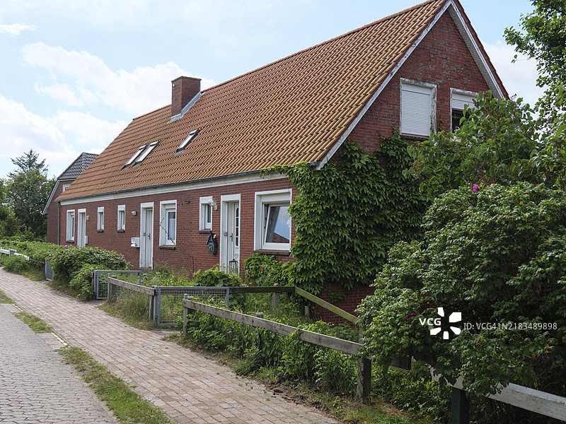 长满常春藤的红色砖房，夏季街道上绿植环绕，德国北海巴尔特鲁姆，东弗里斯兰。图片素材