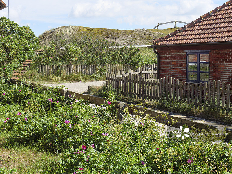 一个维护良好的花园,种满开花植物,木栅栏和红砖房屋,位于丘陵风景中,巴尔特鲁姆,东弗里斯兰,北海,德国图片素材
