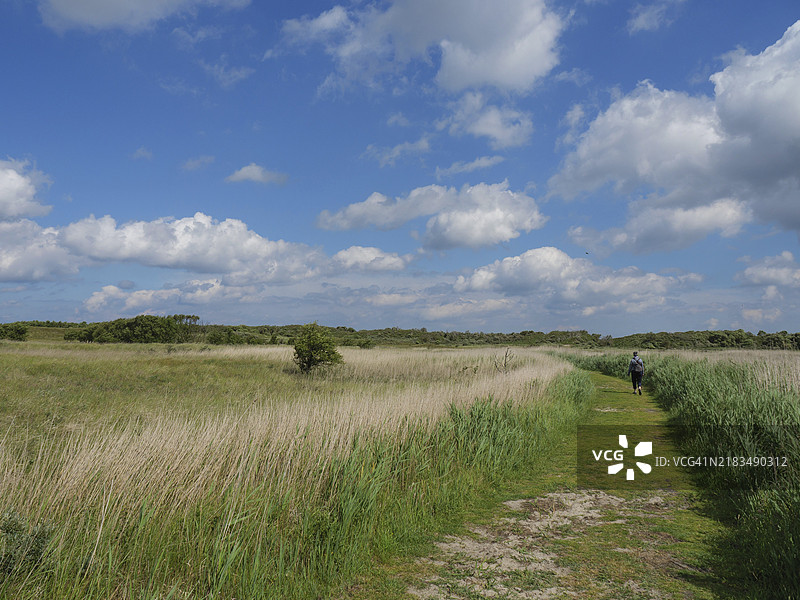 德国北海巴尔特鲁姆，东弗里斯兰，蓝天下的绿色草甸风景中的徒步小径图片素材