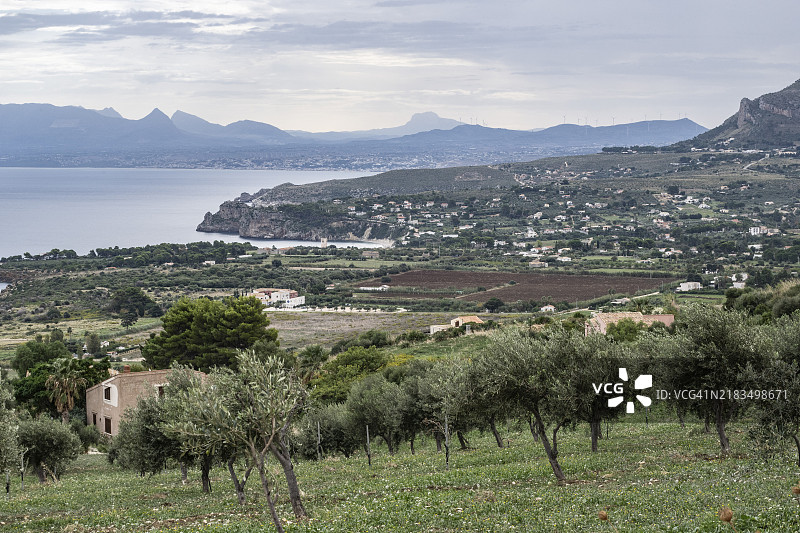西西里岛斯科佩洛附近的海岸风景与橄榄树林，意大利，欧洲图片素材