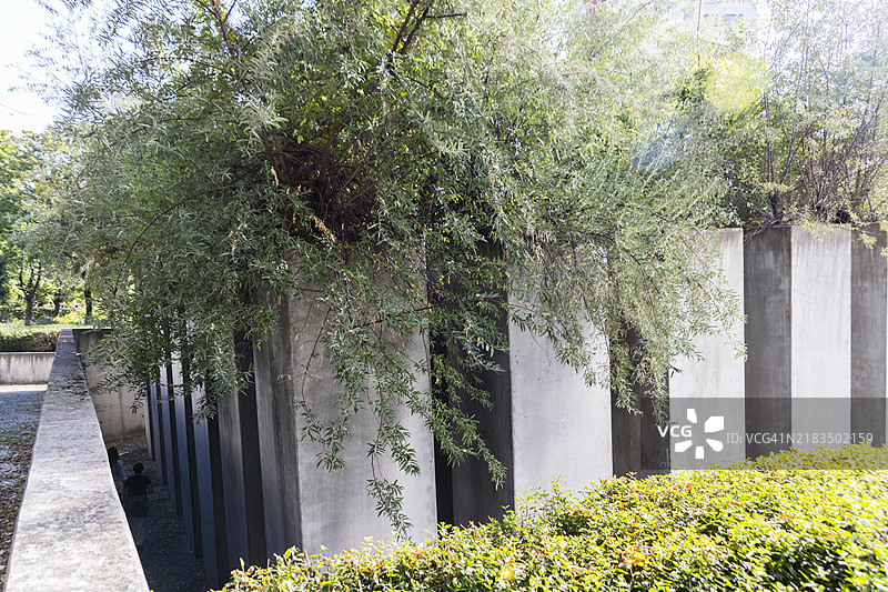 流亡花园，犹太博物馆，德国柏林。九月。图片素材