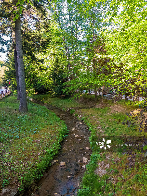 宁静的小溪蜿蜒穿过郁郁葱葱的公园。图片素材