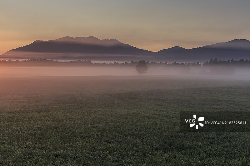 雾气弥漫的氛围，晨光，山脉，夏季，洛伊萨赫湖科赫尔沼泽，位于茨维泽尔后方，阿尔卑斯山脚，巴伐利亚，德国，欧洲图片素材