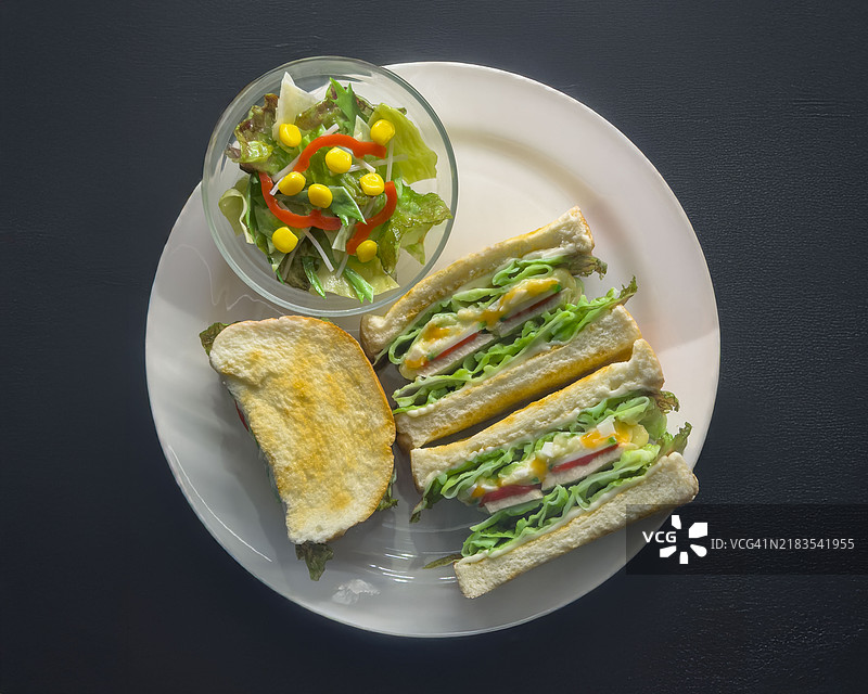 三明治和沙拉食品模型展示图片素材