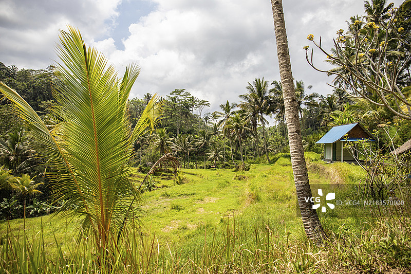卡威山皇家陵墓。一个美丽的建筑群，拥有雕刻精美的石庙和国王及其亲属的陵墓。印度教信仰与巴厘岛的热带风光相结合。图片素材