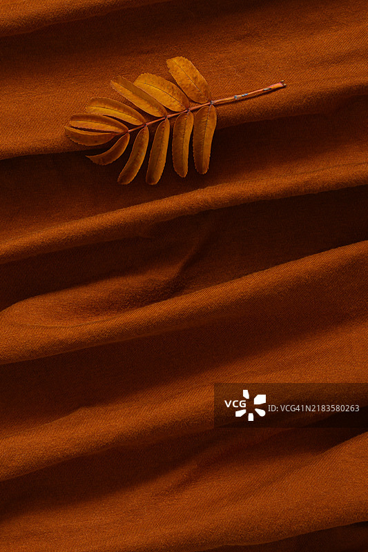 黄色秋季山楂叶与芥末色、橙色布料背景。秋季概念。单色。图片素材