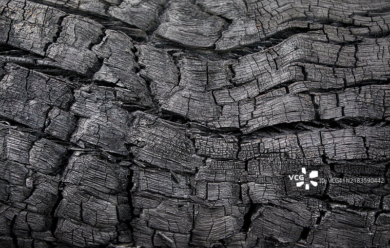 烧焦的树皮，表面开裂图片素材