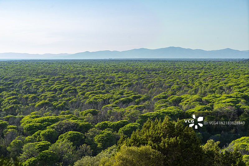 托斯卡纳，马雷马地区公园风景图片素材