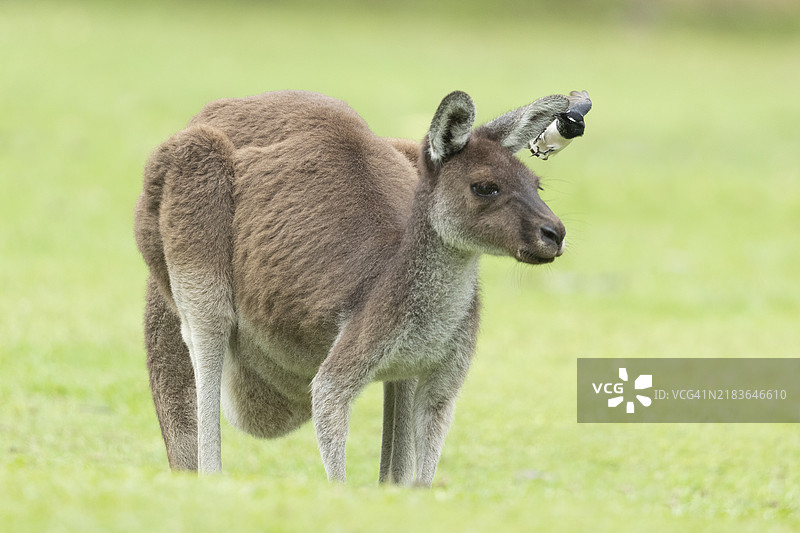 晚餐时间图片素材
