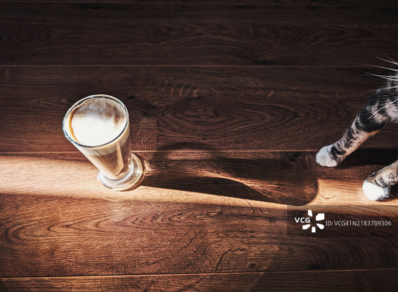 爱咖啡和猫咪图片素材