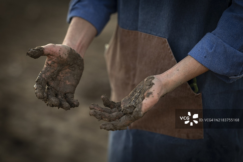 一位在田野中工作的陌生人的双手特写镜头图片素材