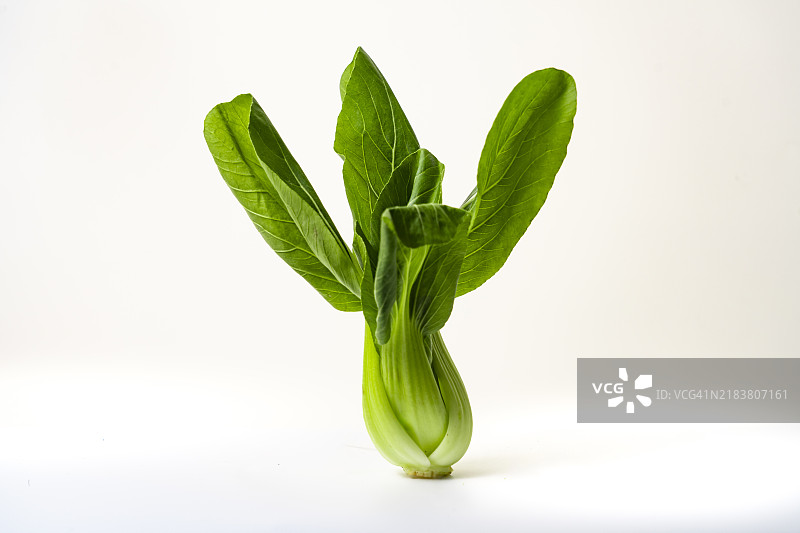 绿色蔬菜在白色背景下图片素材
