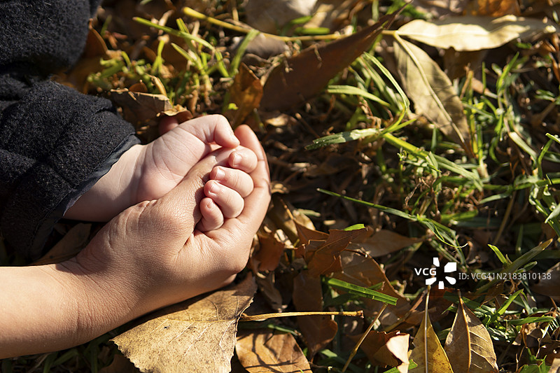 母亲的手握着她小婴儿的手，背景是秋天的落叶特写图像图片素材