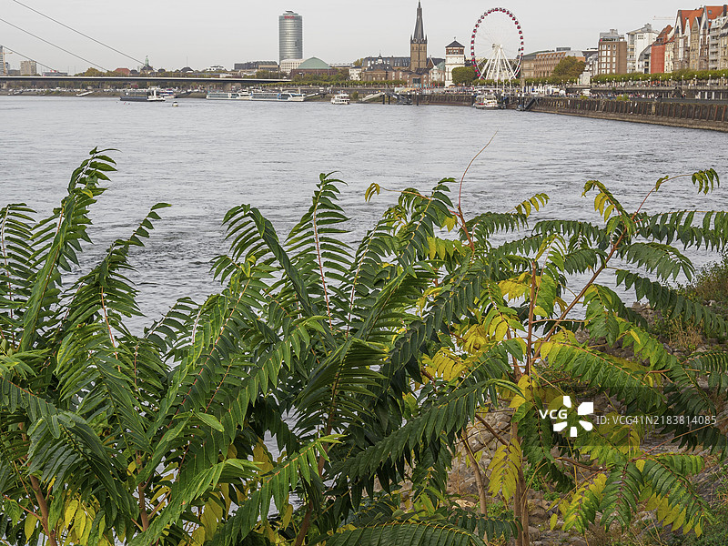 多云天空下的城市景观，河流、桥梁、显著建筑和摩天轮，德国北莱茵-威斯特法伦州杜塞尔多夫图片素材