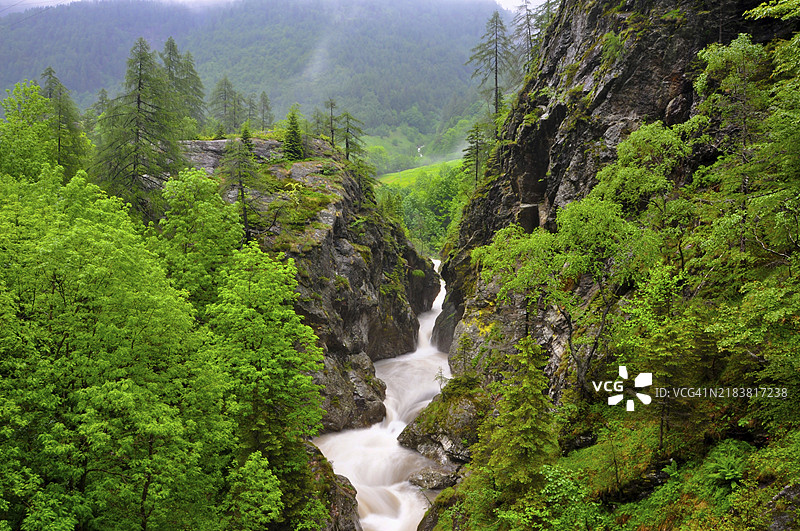 瑞士提契诺山谷中绿树环绕的河流鸟瞰图图片素材