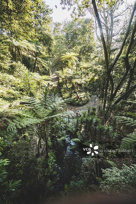 阳光透过茂密的森林公园洒下，公园里有人在散步。葡萄牙，马德拉，欧洲图片素材