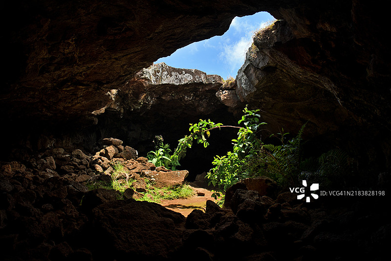 拉帕努伊（复活节岛，智利）阿纳特帕胡洞穴的植被图片素材