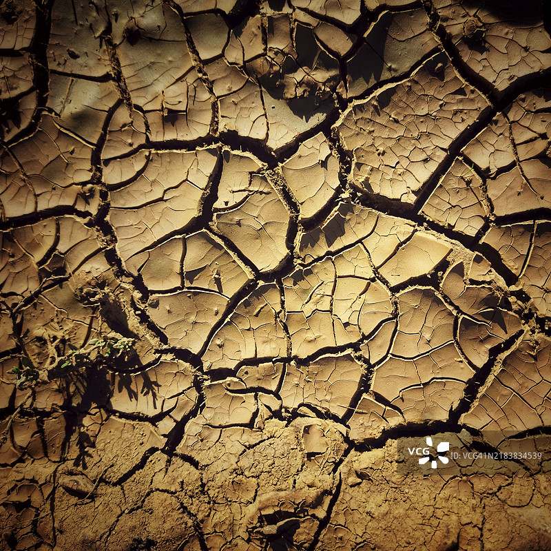 由于干旱导致的地面裂缝图片素材