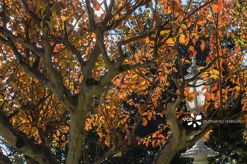 伊赫拉穆尔亭花园图片素材