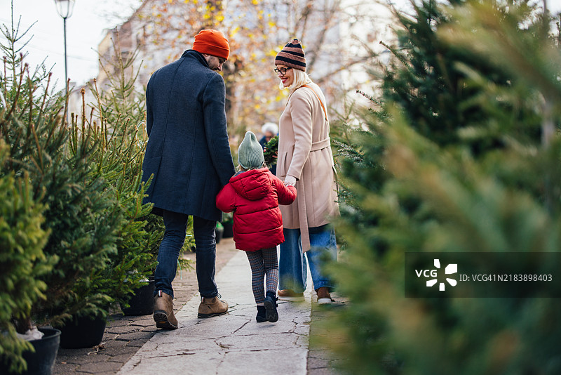 家庭为节日季节挑选圣诞树图片素材