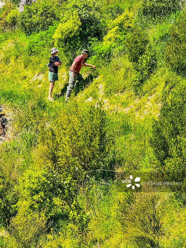 一对情侣站在哈维洛克北的特玛塔公园陡坡上，位于霍克湾的纳皮尔郊区。图片素材