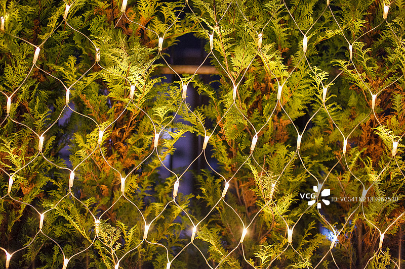 东京的圣诞氛围图片素材