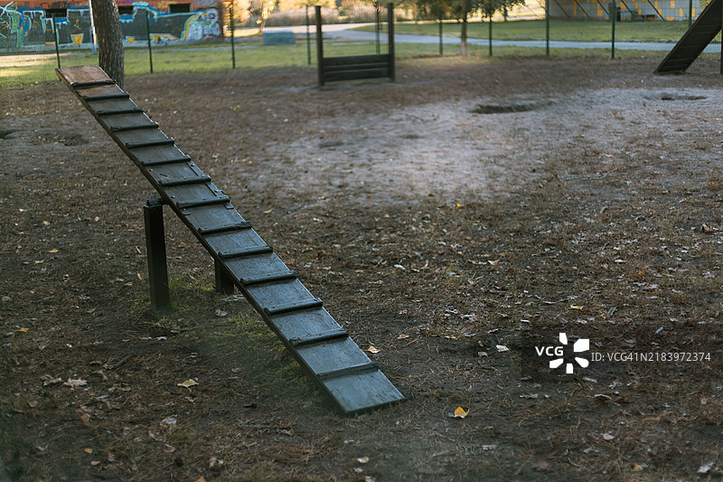 公园里的狗敏捷训练设备。图片素材