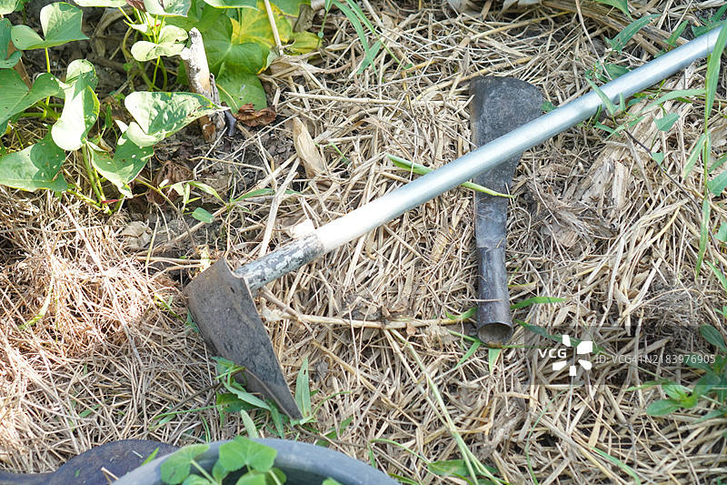 刀具、切肉刀、砍刀图片素材