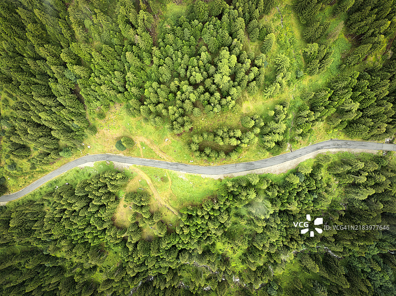 一条道路穿过意大利瓦尔泰利纳的隆巴尔迪阿尔卑斯山心脏地带的格罗拉谷森林。图片素材