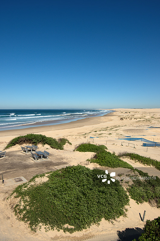 沙丘稳定区，比鲁比海滩，安娜湾，新南威尔士州，澳大利亚图片素材